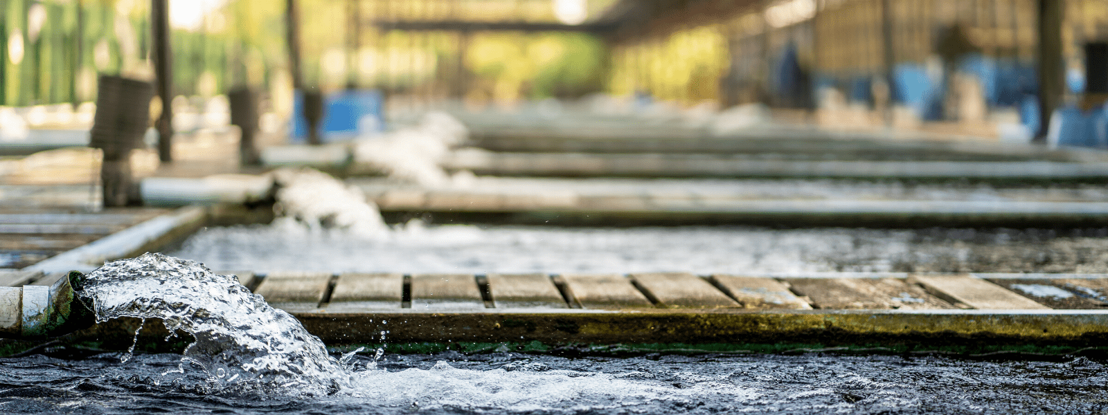 Water treatment plants